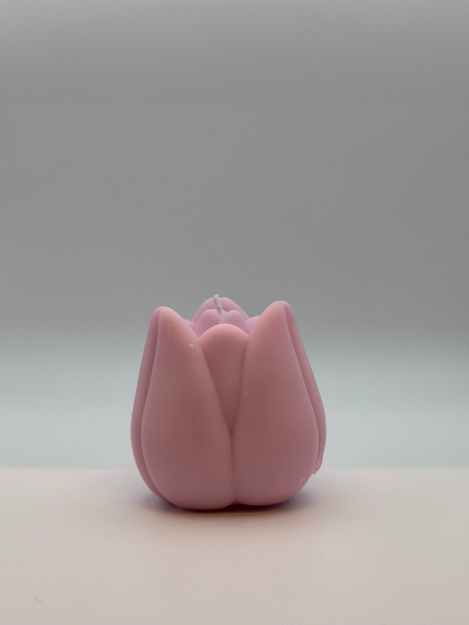 Tulpe - Velvet Light