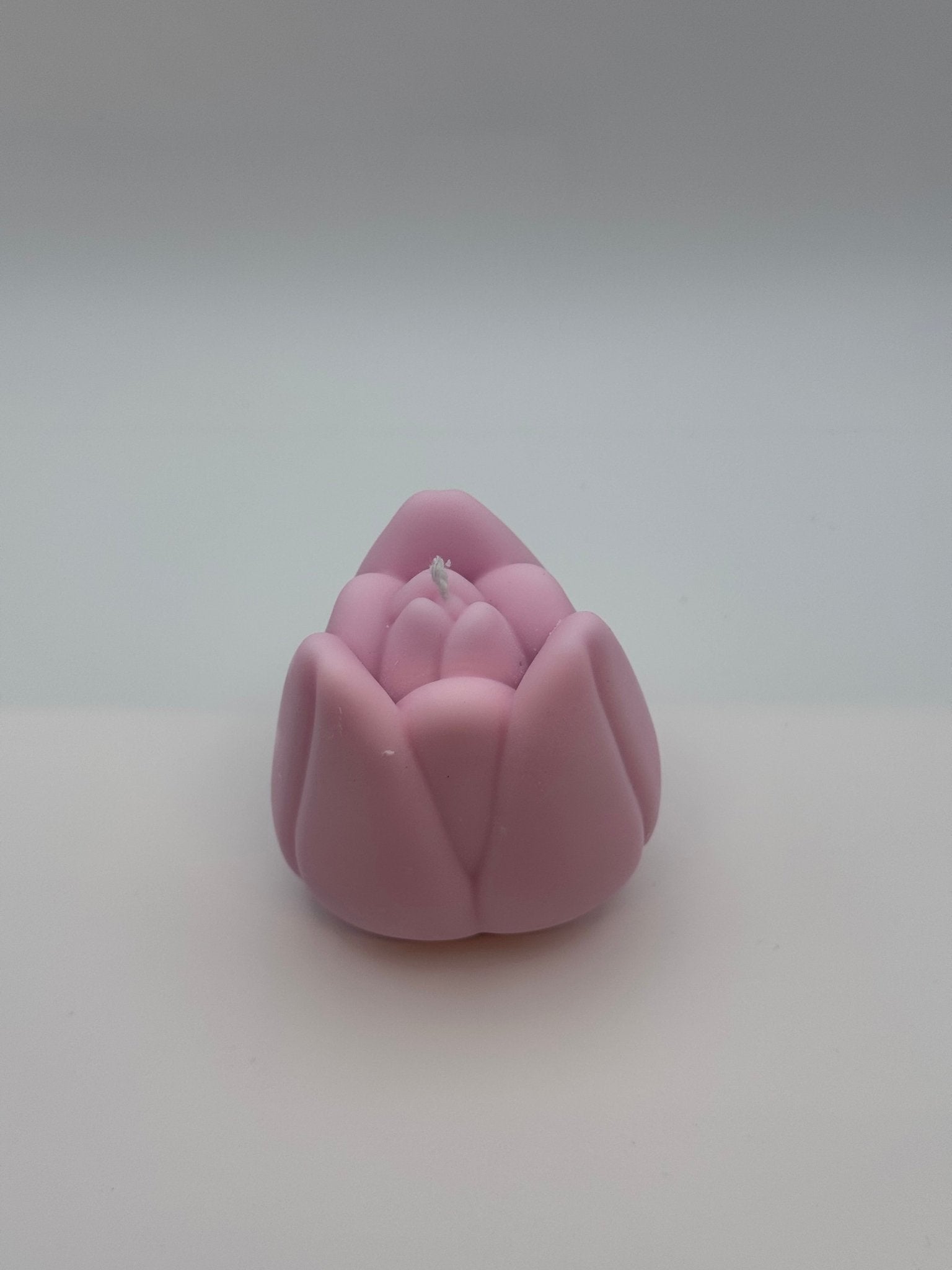 Tulpe - Velvet Light